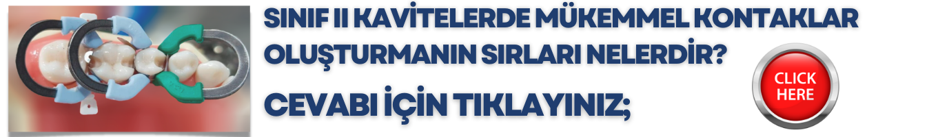 Kurslar