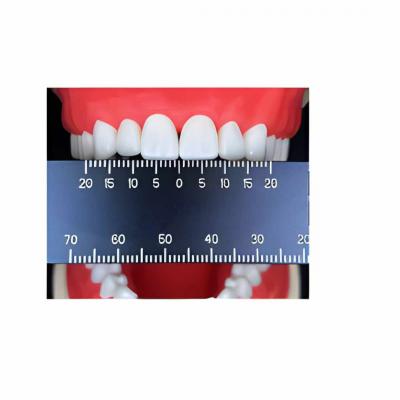 Tooth Meter Dental Ölçüm Cetveli