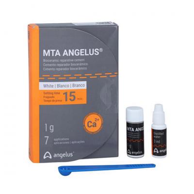 MTA Angelus 1 Gr. 7 Dozluk