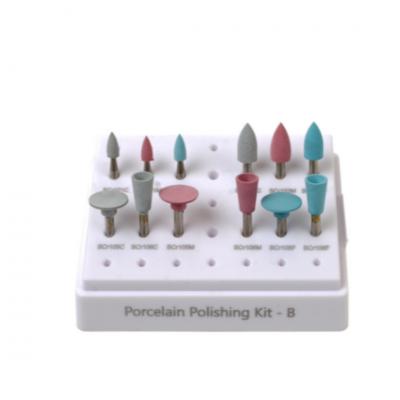Rogin Dental Porselen Cila Seti B