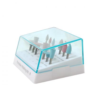 Rogin Dental Porselen Cila Seti B